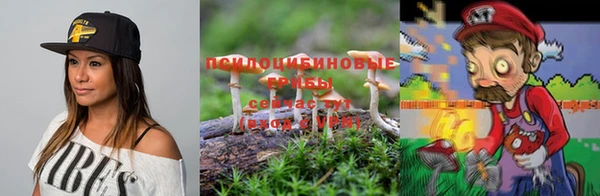 соль ск Абинск