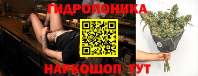 тгк Гусев