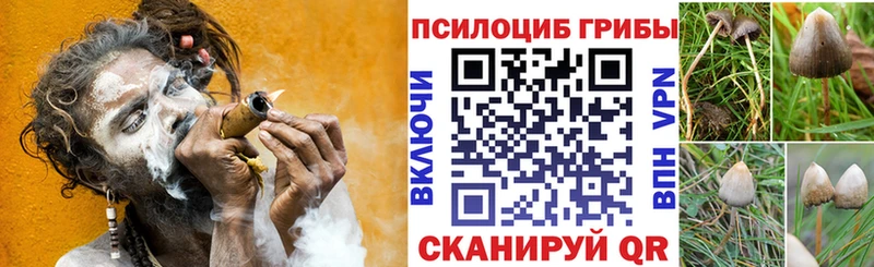 Псилоцибиновые грибы прущие грибы купить закладку Чебаркуль