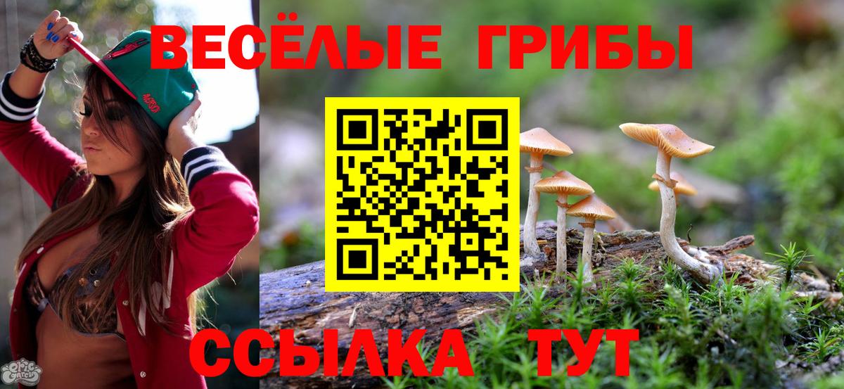 Галлюциногенные грибы Psilocybe Чебаркуль